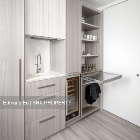 Skysuites@Anson (D2), Apartment #503703251